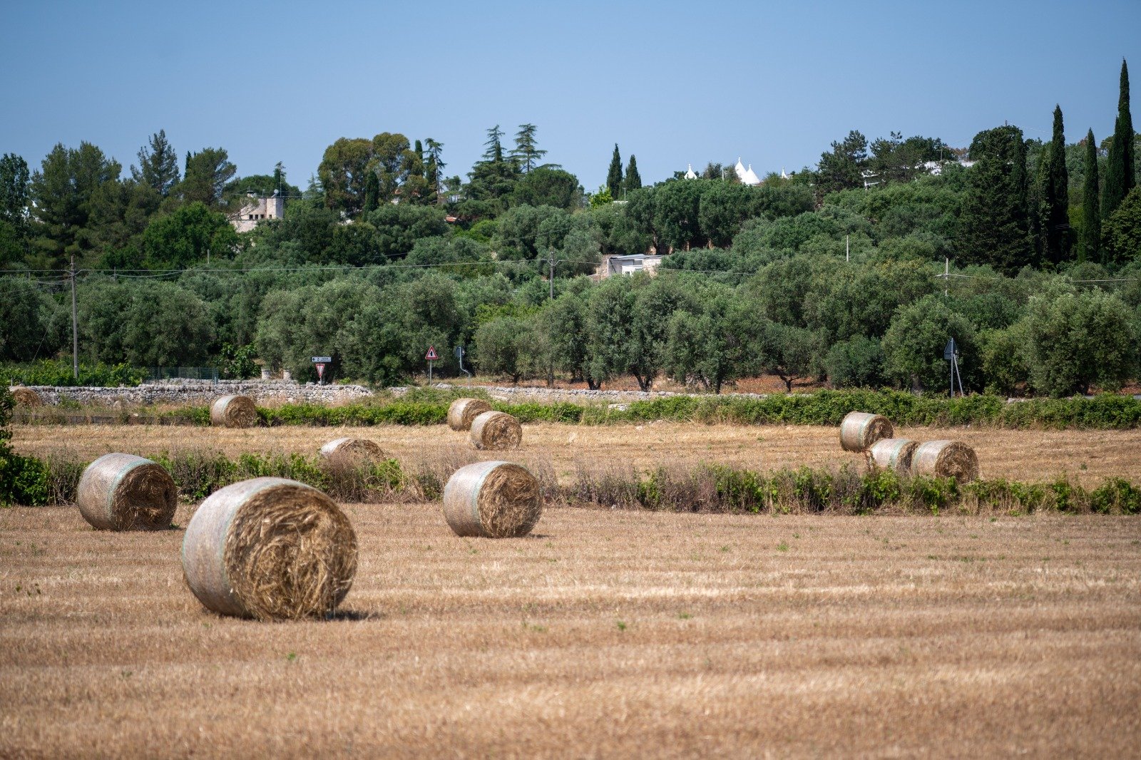 Campagna con balle di fieno e ulivi intorno alla Masseria Bel Cortile