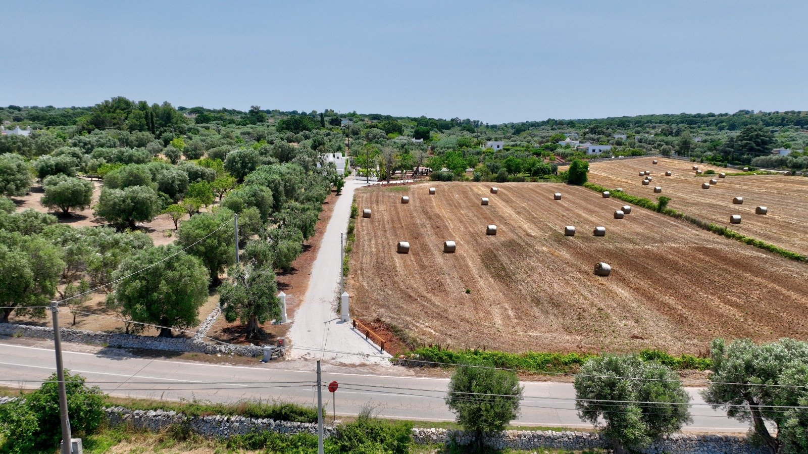 Strada di campagna tra gli uliveti della Valle d'Itria, Ostuni