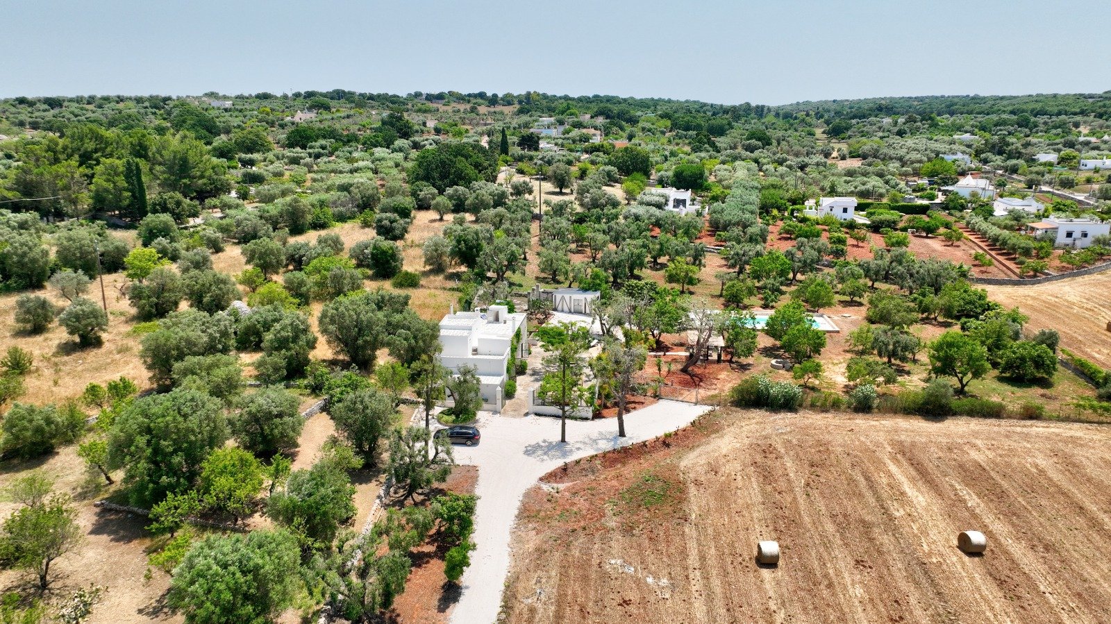 Panorama degli uliveti della Valle d'Itria intorno alla masseria