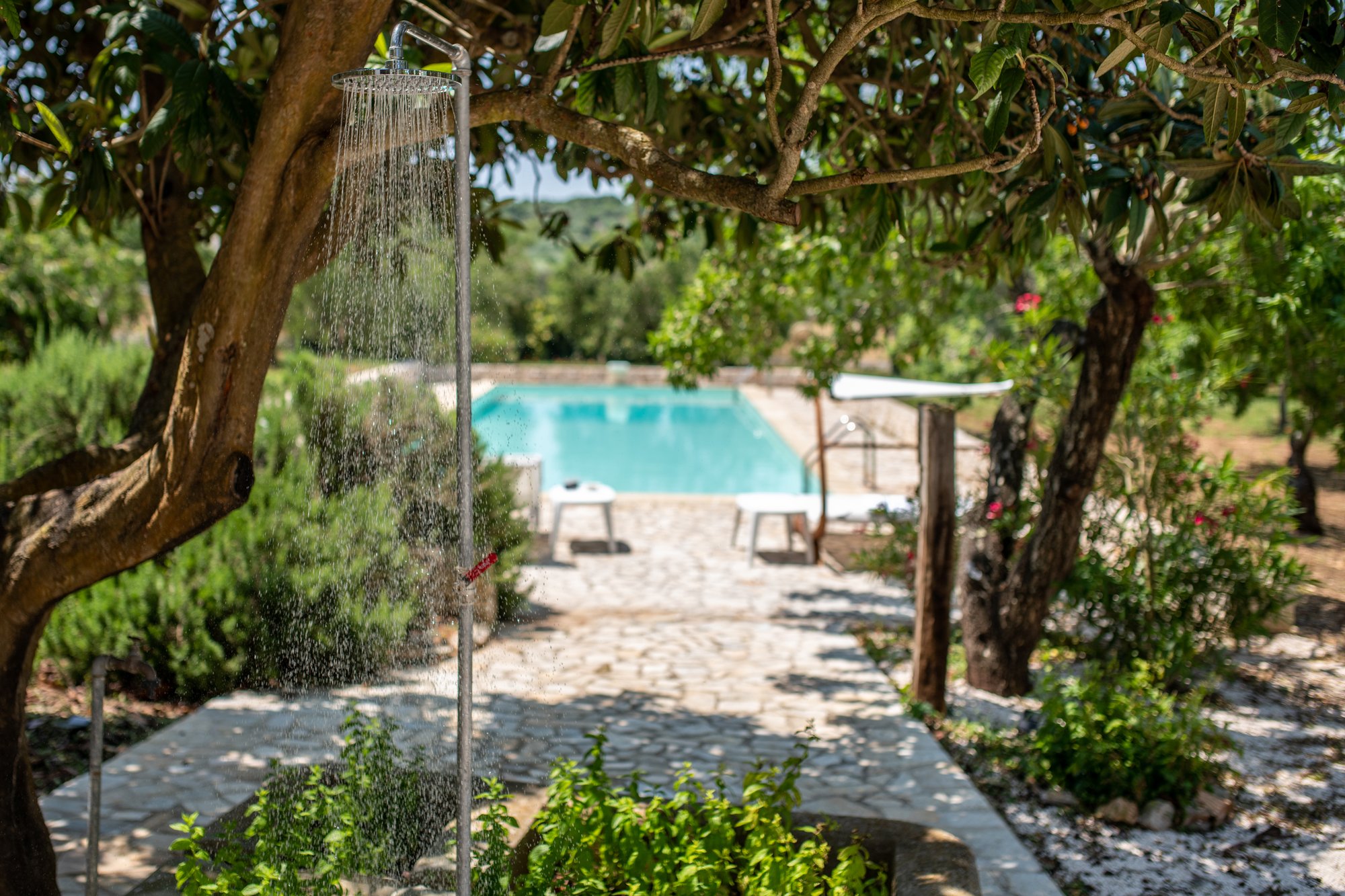 Piscina della Masseria Bel Cortile immersa nel giardino